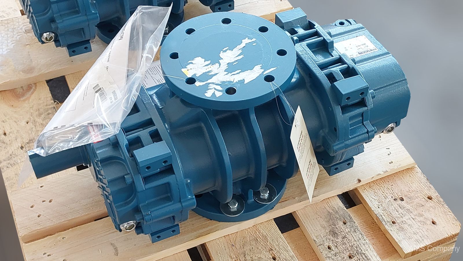 ROBUSCHI RBS 46/SP